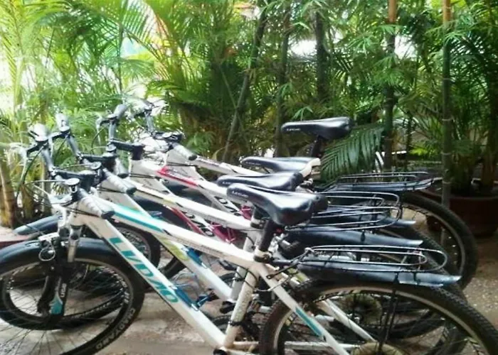 The Cyclo